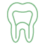 Root canals: